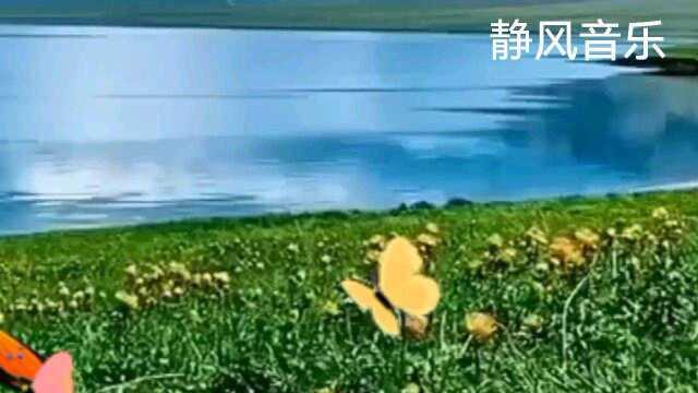 歌曲《草原晨曲》演唱:群星