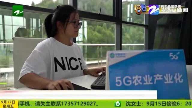 数字化在身边:“黄土地”变“科技田” 数字赋能助力畲乡