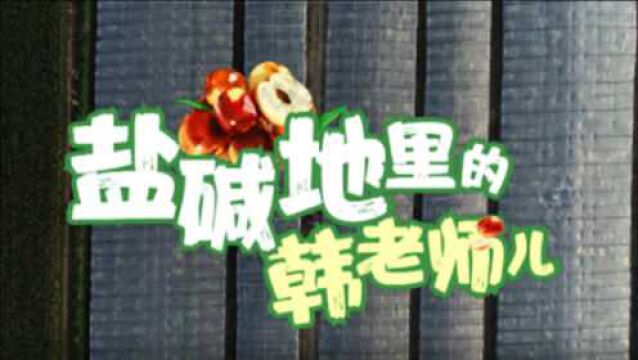 盐碱地里的“韩老师儿”:考取首批高级农民职称 百万斤冬枣销往海外