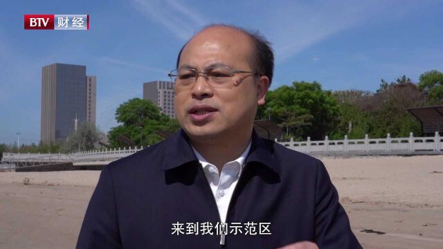 大型企业落户示范区对于促进京津冀协同发展的效应