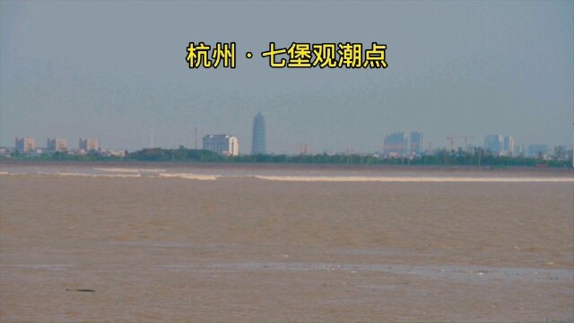 钱塘江大潮农历八月十八杭州61七堡观潮点我们带娃观潮安全第一