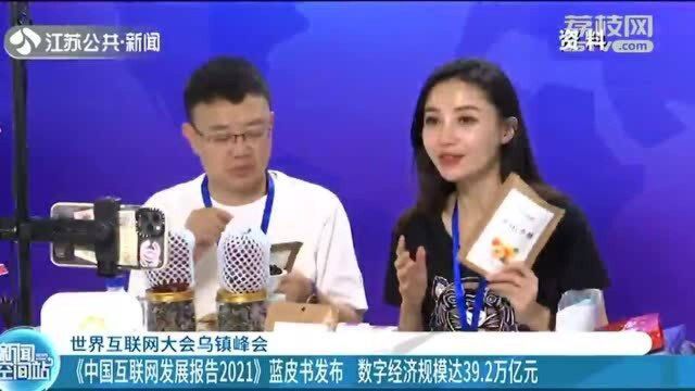 世界互联网大会乌镇峰会《中国互联网发展报告2021》蓝皮书发布