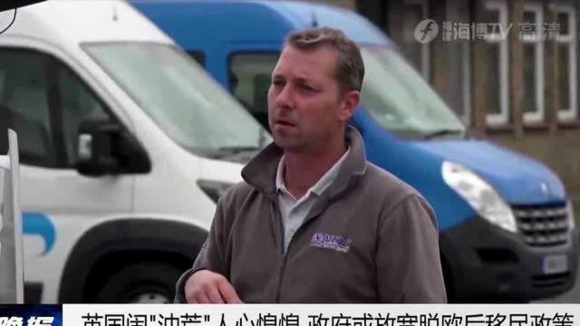 英国闹“油慌”人心惶惶,加油站前排长龙,政府或放宽脱欧后移民政策