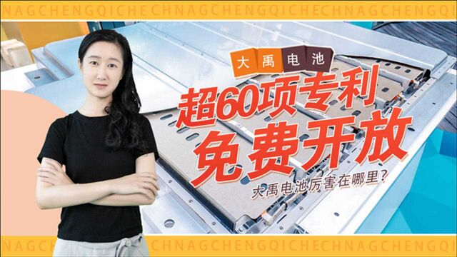 免费开放超60项专利,长城大禹电池厉害在哪里?