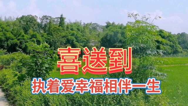 清新秀丽的乡村田园风光,到处都是一片绿色美景,真的太美了!