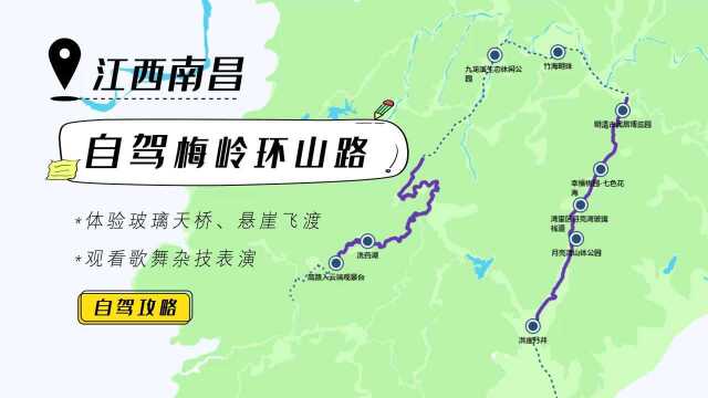 自驾南昌梅岭环山路,观竹林赏花海,逍遥乐无边