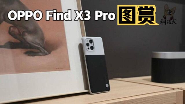 OPPO Find X3 Pro 图赏:质感玻璃搭配黑荔枝纹皮革 致敬经典设计