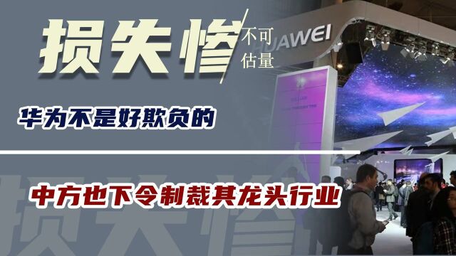 华为不是好欺负的!中方也下令制裁其龙头行业,损失惨重不可估量