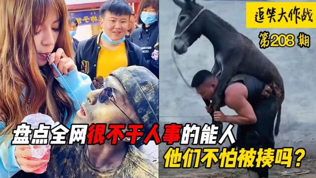 盘点很不干人事的恶搞能人,壮汉背驴反被驴踢,把猪绑去高空蹦极?