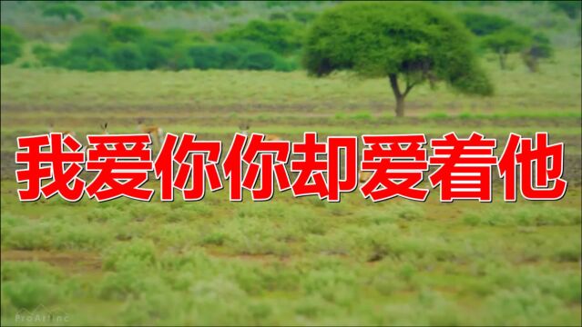 分享一首《我爱你你却爱着他(DJ何鹏版)》