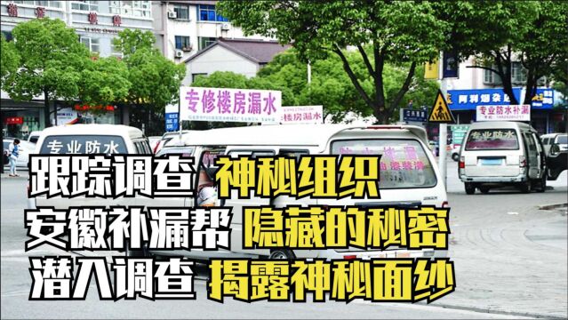 神秘组织“安徽补漏帮”,全国到处坑蒙拐骗,背后隐藏着什么秘密?