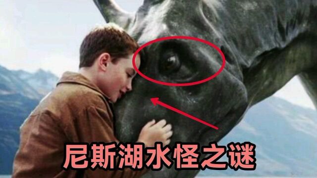 尼斯湖水怪之谜