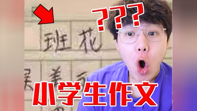 【小学生作文】最硬核的小学生作文!