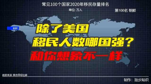 常见100个国家2020年移民存量排名,许多国家可能和你想象的不一样