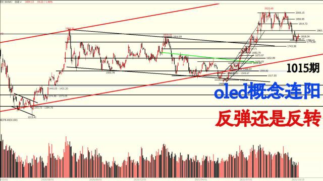 oled概念连阳,反弹还是反转?5大面板股走势如何?