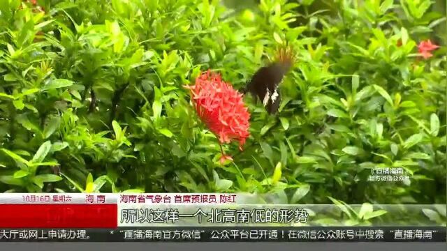 较强风雨+降温一键入秋? 19号起气温重回“3”字头