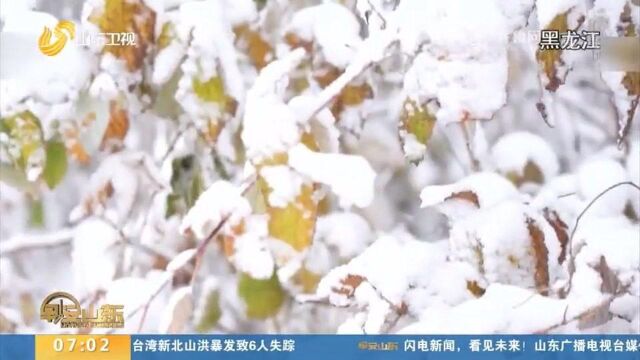 寒潮正在“发威”,17日多地累计降温超10℃,经历近期最冷清晨