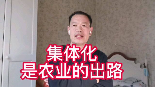 农业集体化,有3个优势,发展集体经济是农民共同富裕之路