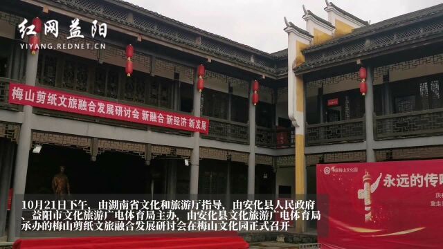 视频 | 非遗传承与保护 梅山剪纸文旅融合发展研讨会举行