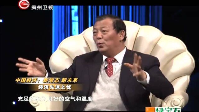 经济失速之忧!创新结构调整主体是企业,来听专家分析丨论道