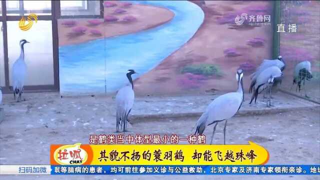 抢农时保丰收:农技站长为农户“传经送宝”