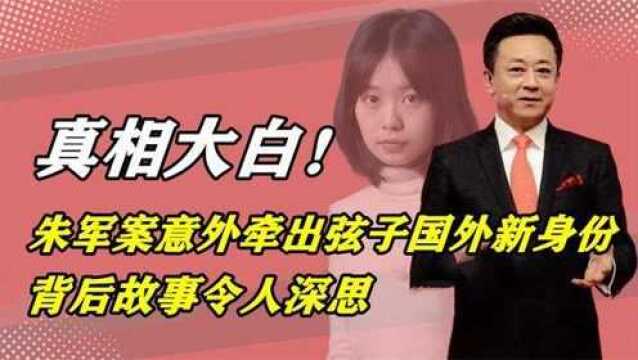 朱军案意外牵出弦子国外新身份背后故事令人深思