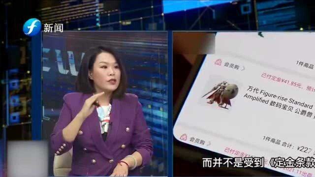 男子在网站上购买手办,谁知迟迟未发货,退款竟还扣定金?