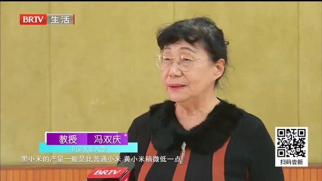 记者走市场 身价不菲的黑小米与普通小米有何不同?