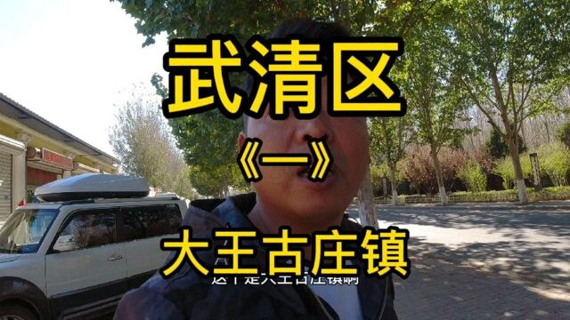 天津市武清区第《21》个视频,大王古庄镇实地考察