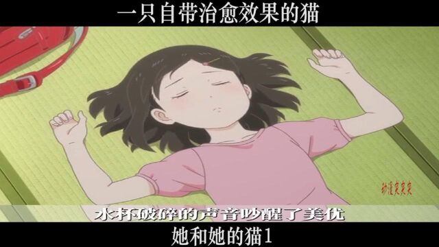 她和她的猫