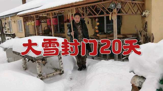 大雪封门20天,东北农村小院什么样了?涛哥回来了