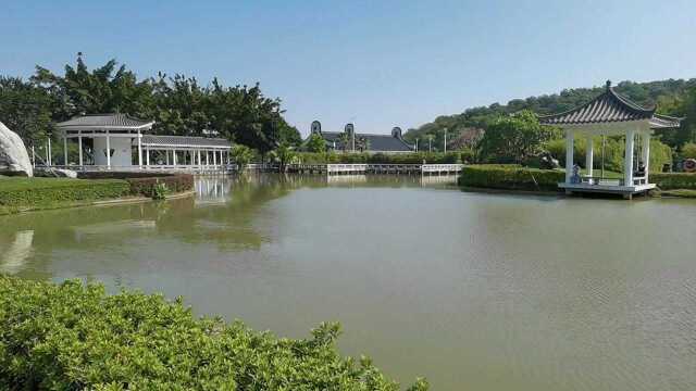 佛山市顺德区龙江镇天湖森林公园之绿雅湖