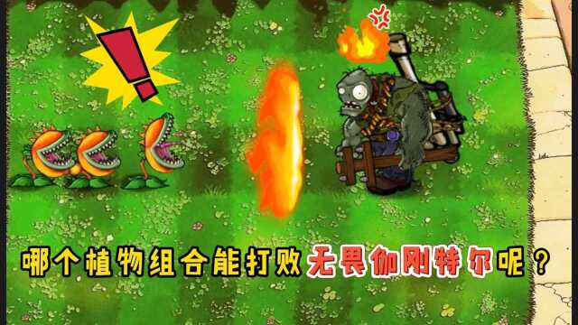 植物大战僵尸测试:哪些组合能打败无畏伽刚特尔呢?