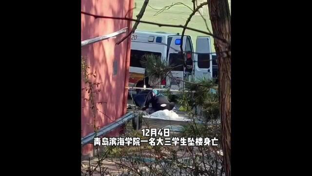 青岛滨海学院一学生坠楼,学校凌晨发布情况说明