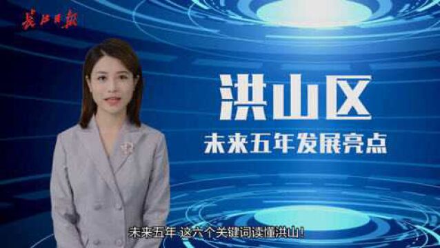 AI主播读报告|六个关键词读懂未来五年的洪山区