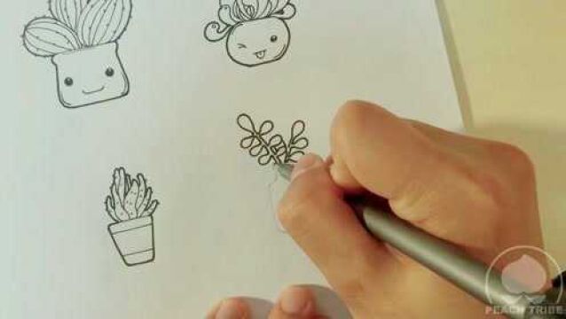 简笔画 多肉植物