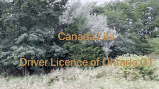 Ganada Life Driver Licenca of Ontarie G1