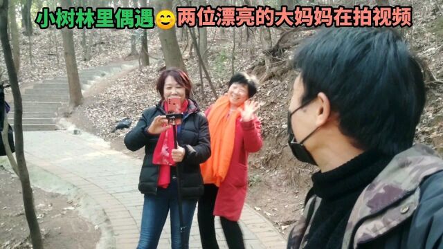 小树林里偶遇,两位漂亮的大妈妈在拍视频,我和她们聊的非常开心