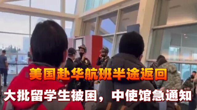 发生什么?美国赴华航班半途返回,大批留学生被困,中使馆急通知