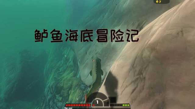 海底大猎杀:鲈鱼海底冒险记!鲈鱼海底冒险大鱼吞噬