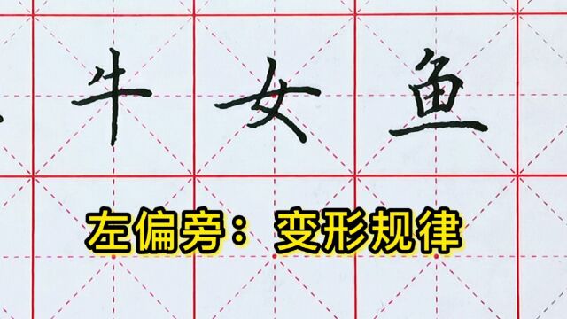 可能会写错笔画、笔顺的:左偏旁变形规律,你知道吗?这12个独体字,变为左偏旁时都要遵守这个规律