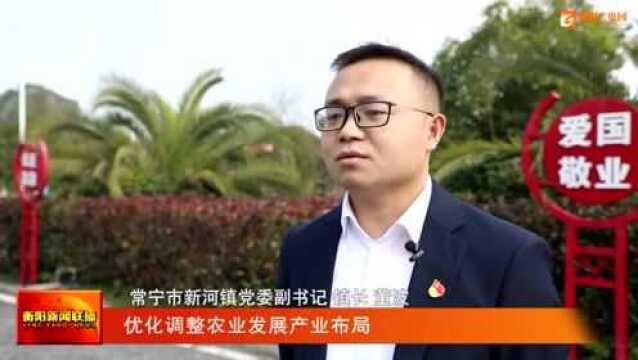 常宁新河镇:渔业养殖借“路”高飞