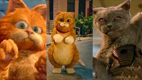 这3只《喵星人》电影，你觉得哪个最可爱？加菲猫被一群老鼠欺负