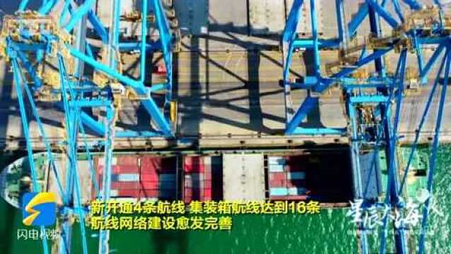 【星辰大海】做大做强临港产业集群 潍坊着力建设环渤海现代化区域大港