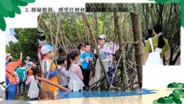 他们眼中的“神奇湿地”|微课征集活动评选结果