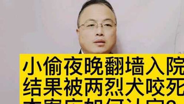 小偷夜晚翻墙入院,被两烈犬咬死,本案应如何认定?#南京律师 #刑事律师