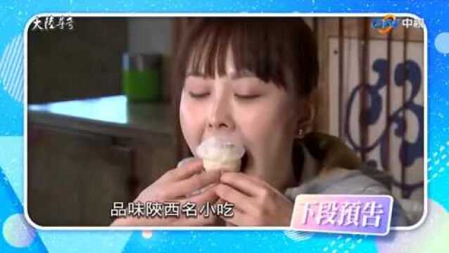 纪录片《大陆寻奇之陕西西安》