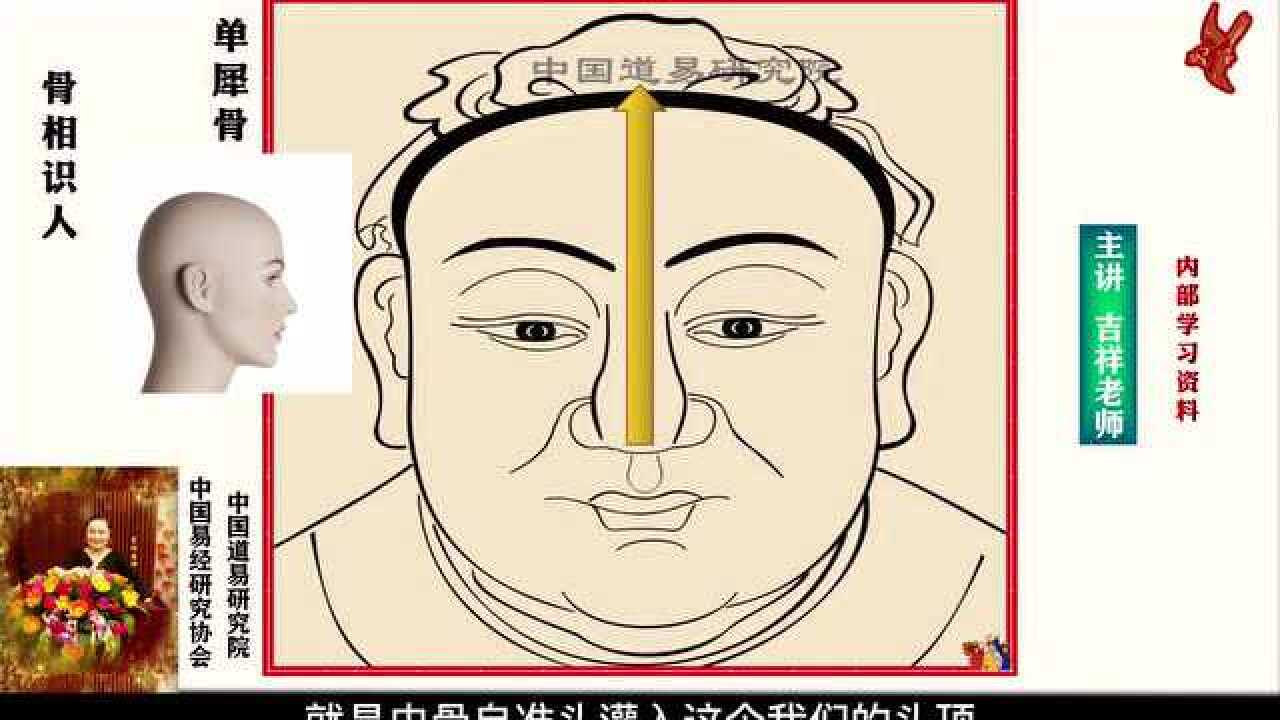 8骨相识人 单犀骨(前山38骨 主讲:吉祥老师(秦)