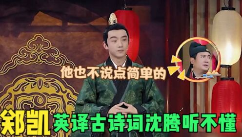 汉语广告双关语的英译策略研究论文提纲