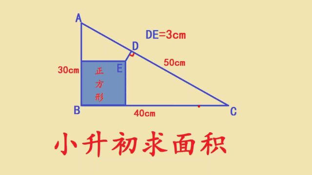 河北某名校小升初考试题,求面积,全班只有2名学生做出来了